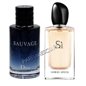 set cadou dior sauvage si giorgio armani si tester