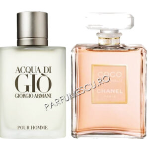 set cadou giorgio armani acqua di gio si coco chanel mademoiselle tester